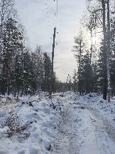 20210217_113058.jpg