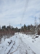 20210217_111946.jpg
